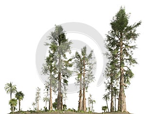 Forest of the mesozoic era isolated on white background 3D illustration