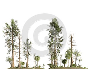 Forest of the mesozoic era isolated on white background 3D illustration