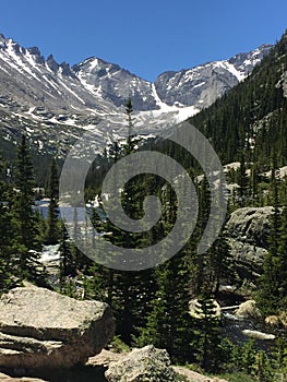 Forest and Mills Lake in Rocky Mountain National Park