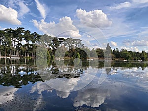 forest mirror in the Bois de Boulogne