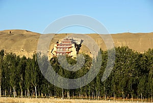 Forest with mogao grottoes