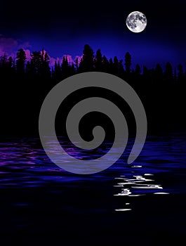Forest Moonrise Reflection