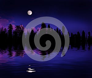 Forest Moonrise Reflection