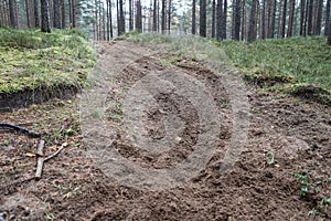 Forest motorcycle trails in the ground, with visible tyre marks