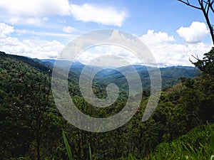 Forest and mountain at Mae Wong National Park or Chong Yen, Kamphaeng Phet Province, Thailand