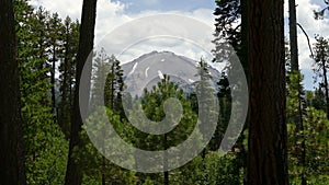 Forest and Mountain Peak at Lassen Volcanic National Park