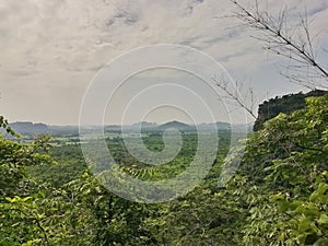 Forest and mountain range. Beautiful landscape in nature.