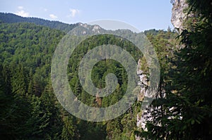 Forest mountain slovakia view from the trail