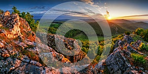 Forest and mountain at sunset - landscape panorama