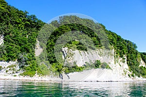 The forest on the mountain, the vegetation on the cliff