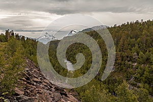 Forest and mountain view