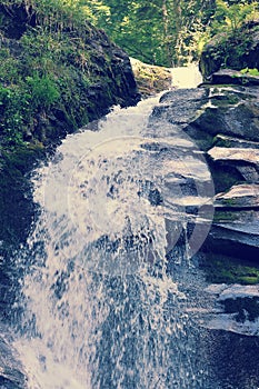 Forest mountain waterfall in the woods