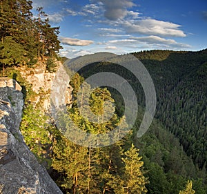 Forest and mountains