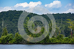 Forest Mountains along Connecticut River Shore