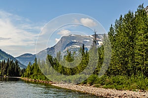 Forest and Mountains Along a Mountain Stream in Glacier National Park