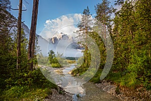 Forest and Mountains Landscape, sunny weather with fog and river