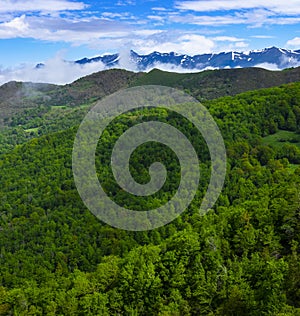Forest and mountains from Viewpoint of Piedrasluengas in the Natural Park of Fuentes Carrionas