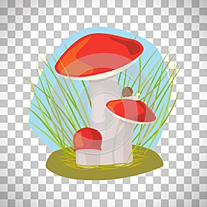 Forest mushroom with grass and snail