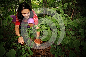 Forest Mushroom Picking