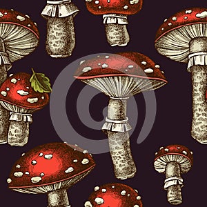 Forest mushrooms seamless pattern background design. Engraved style. Hand drawn fly agaric.