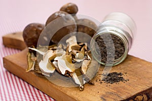 Forest mushrooms varieties