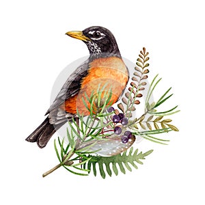 Forest natural floral decor with robin bird. Watercolor illustration. Hand drawn wildlife bird with floral natural