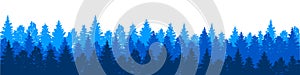 Forest nature landscape panorama view, group of blue trees silhouettes background. Set of pines, spruce and Christmas Tree