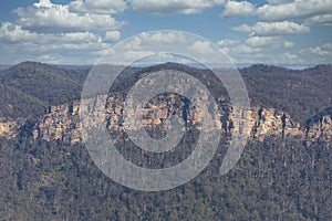 A forest near a cliff burnt by bushfire in regional Australia