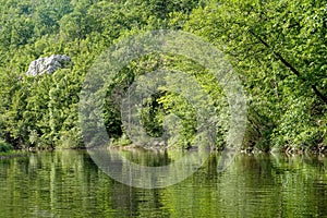 Forest near the Nera river