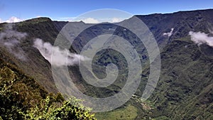 The forest of Notre-Dame de la Paix  on Reunion Island drone view