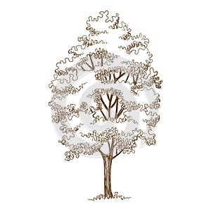 Forest oak tree icon, hand drawn and outline style