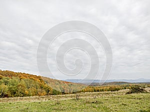 Forest in october in Maramures county, Romania. Autumn landscape