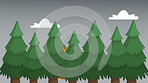 Forest with outgoing sun HD animation