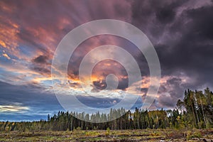 Forest and outskirts under dramatic sky at sunset