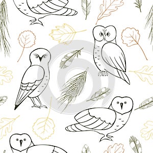 Forest owls and plants on white background photo