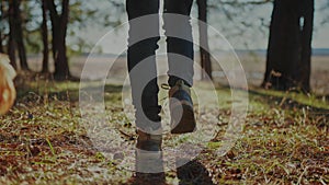 Forest park dog walk with hiker feet. Close-up a journey concept. man and pet dog walking in sneakers through the park