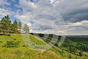 Forest Park in Inner Mongolia