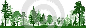 Forest park. Silhouette vector. Landscape of isolated trees