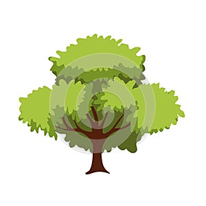 Forest or park tree vector illustration in cartoon style