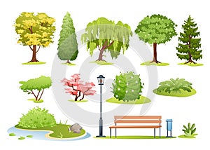 Forest and park trees, bushes, fern and park bench set