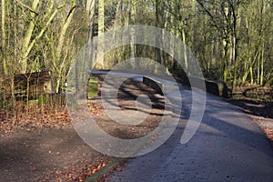 Forest path in autumn