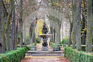 Forest path in Autumn in Aranjuez