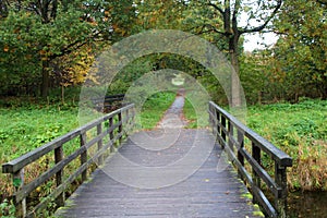 Forest path with bridge
