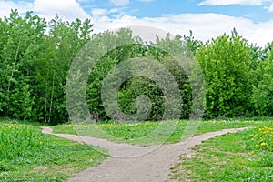 The forest path diverges in two different directions. Bifurcating footpath in a dense summer forest