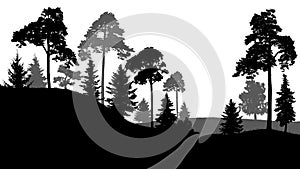 Forest path, exit from the forest. Trees silhouette vector, on white background. photo