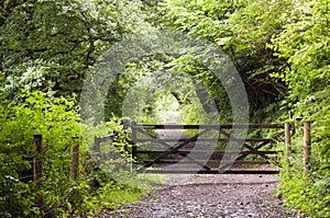 Forest path with gate