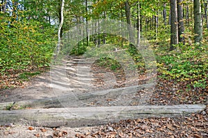 Forest path leading to Zirkelstein castle in Saxon Switzerland on 13th october 2019