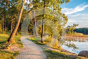 Forest path near lake