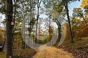 Forest path in the Ozarks mountains of Missouri