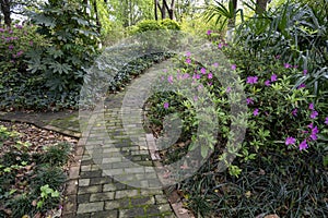 The forest path in the park photo
